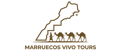 Marruecos vivo tours
