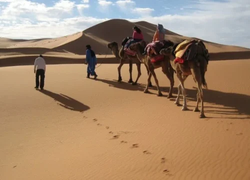 ¿Cuál es el mejor clima para visitar Merzouga y disfrutar del Sáhara?