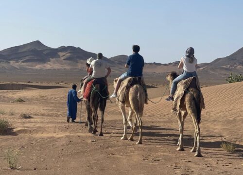 Excursión de 2 días al desierto de Zagora desde Marrakech